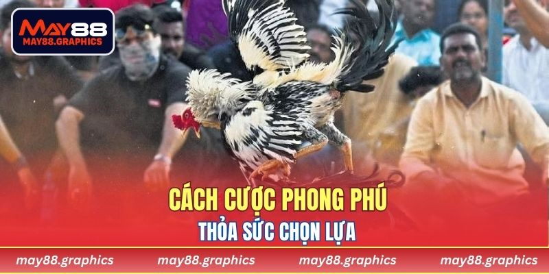 Cách cược phong phú, thỏa sức chọn lựa